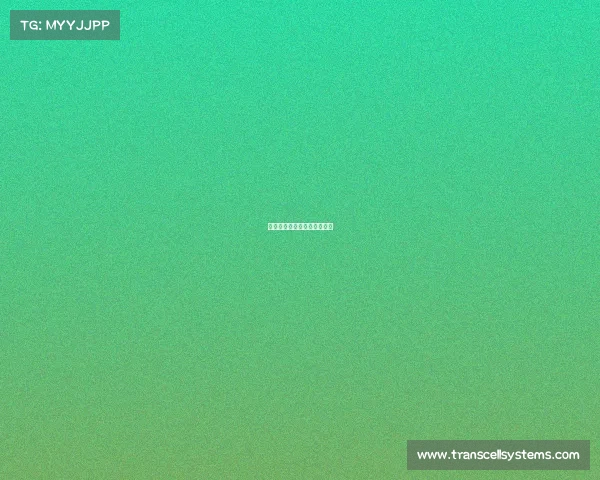 西甲赛事投注西甲在哪里投注