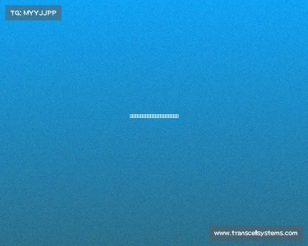 高山滑雪赛事—高山滑雪赛事的好处和坏处