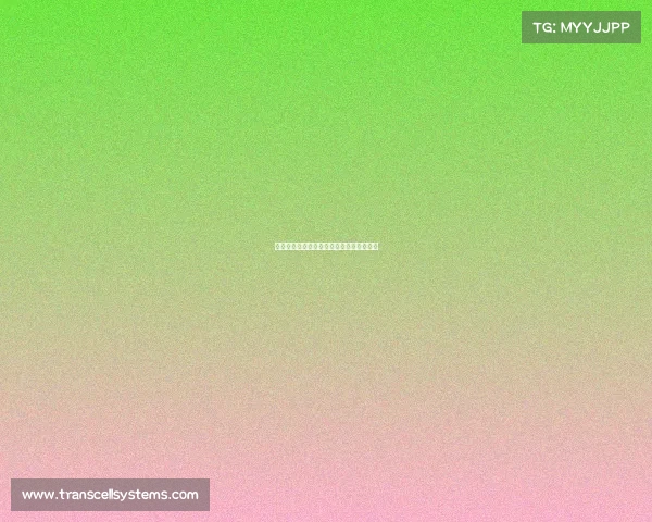 青春足球赛场点燃梦想青少年赛事盛大开启